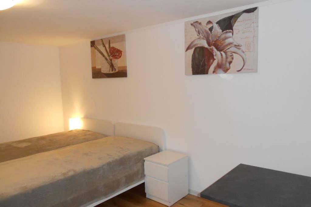 Zimmer In Direkter Naehe Zu Basel Grenzach-Wyhlen Esterno foto